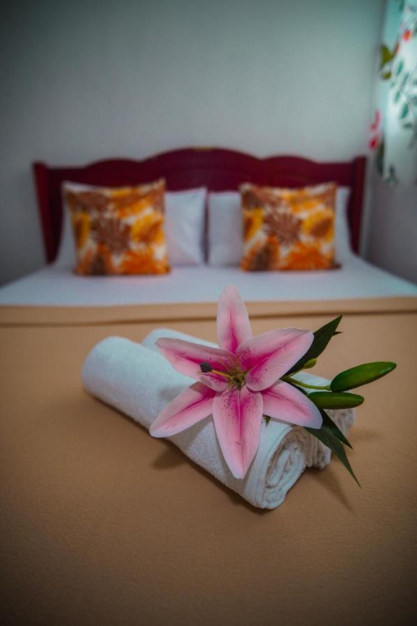 Amparo'S Tourist Inn - Coron Exteriér fotografie